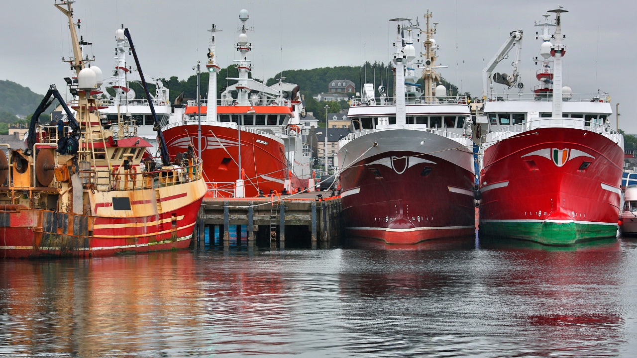 Colourful fishing boats moored in Killybegs Harbour.